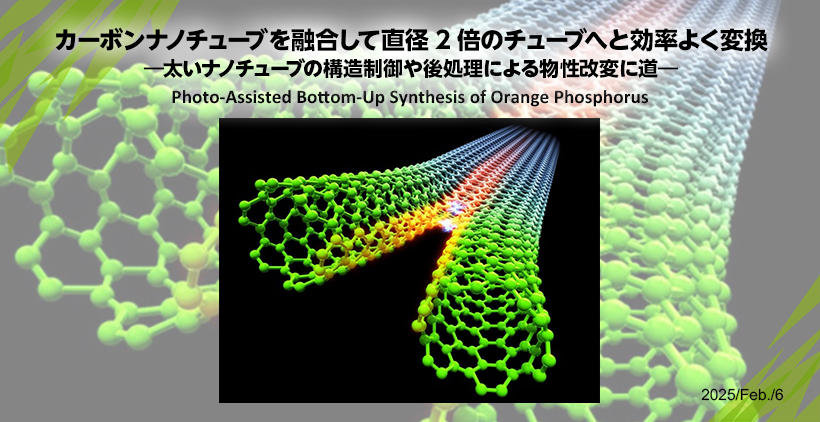 機能物性工学　カーボンナノチューブを融合して直径2倍のチューブへと効率よく変換―太いナノチューブの構造制御や後処理による物性改変に道―